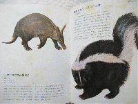 ファンタスティックブック　動物