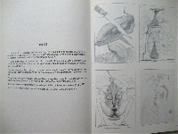 The fantastic universe of Salvador Dali