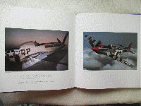 Ghosts of the Skies: Aviation in the Second World War