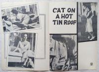 熱いトタン屋根の猫