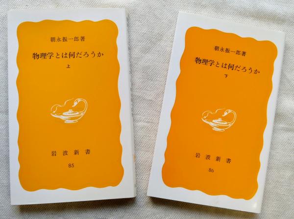 岩波新書 理系向けの本10冊まとめ売り 数学物理学医学など