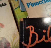 フランス語絵本　10冊一括　Biboundissimo/Un livre magique à découvrir dans le noir/LA BRILLANTE HISTOIRE DU PETIT VER TROP LUISANT/Animaux Amis/Une histoire par jour/Pinocchio/Les sons et la musique/Flon-Flo & Musette/Poucinet du BoisJoli/Goufy et le canard de bois