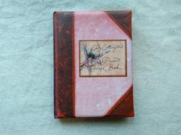 Lady Cottington's Pressed Fairy Book