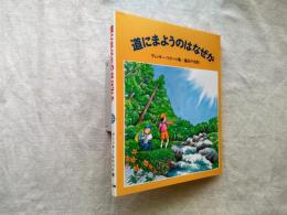 道にまようのはなぜか