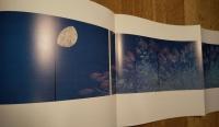箱崎睦昌襖絵展　信貴山・玉蔵院奉納記念　図録