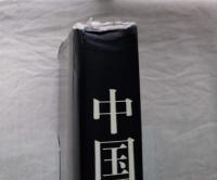 中国油画百年图史, 1840-1949