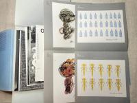 GUGGING LA CASA DEGLI ARTISTI  12枚入り　アールブリュット展覧会カタログ　イタリア語