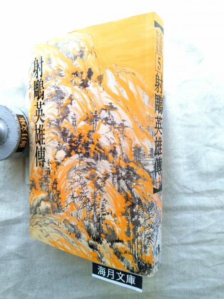 能面 : 鑑賞と打ち方(堀安右衞門, 増田正造 著 ; 宮野正喜 写真
