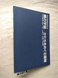 眼の宇宙-かたちをめぐる冒険 : 明日の美術館を求めて 3