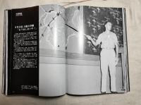 Target Tokyo 日本大空襲