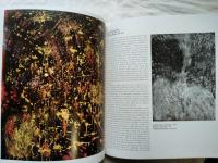 André Masson : Galeries nationales du Grand Palais
