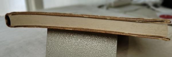 円周の羊 : 望月通陽作品集(望月通陽 著) / 古本、中古本、古