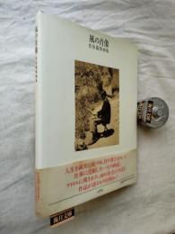 風の肖像 : 佐伯義郎画集