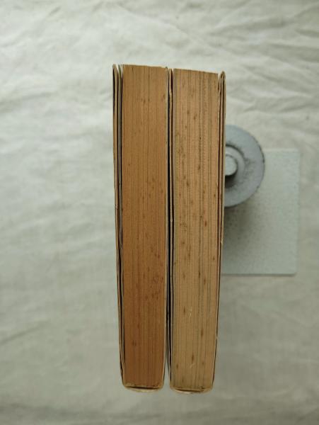 つるべ・新野のぬかるみの世界+PartⅡ 2冊一括 | 笑福亭鶴瓶, 新野新