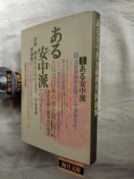 ある安中派 : 加藤勝美評論集