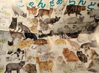 月刊　たくさんのふしぎ　1989年1月～12月　12冊一括　No,46～57号　分売不可
「迷宮へどうぞ」「ズボンとスカート」「ぼくらの天神まつり」「なぜまるい？」「やねはぼくらのひるねするばしょ」「ヒグマのくる川」「分類ごっこ」「あっ！流れ星！」「きみの楽器はどんな音」「アイヌネノアンアイヌ」「本のれきし5000年」「クリスマス・クリスマス」