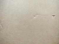 琳派　Rimpa painting　別冊共　全５巻揃（別冊は5に付属）
1・2：花鳥　3：風月/鳥獣　4：人物　5：総合/別冊：落款・印集,総索引）