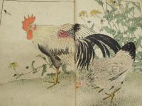 景年花鳥画譜 全4冊 (今尾景年 画) / 海月文庫 / 古本、中古本