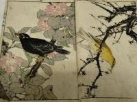 景年花鳥画譜　全４冊　