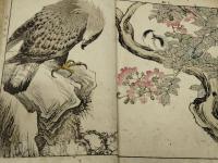 景年花鳥画譜　全４冊　