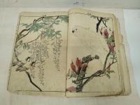 景年花鳥画譜　全４冊　