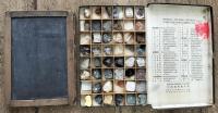 鉱物標本　MINERAL SPECIMENS　F號型　　石板　黒色頁岩（けつがん）
戦前学校セット2点（分売不可）

