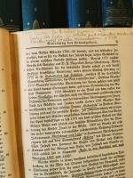 Goethes Werke Festausgabe zum hundertjährigen Bestehen des Bibliographischen Instituts Gotha, Hildburghausen, Leipzig 1826 - 1926. 全18巻の内17冊（第15巻欠）