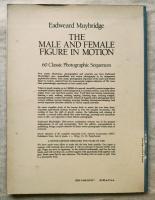 The male and female figure in motion : 60 classic photographic sequences