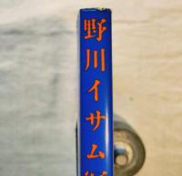 染色体 : 野川イサム写真集