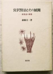 宮沢賢治とその展開 : 氷窒素の世界