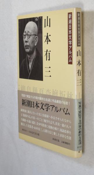 新説阿頼耶識瞑想術: あなたの願望を叶える阿頼耶識の正体とは