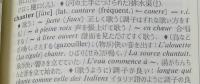 白水社 仏和大辞典