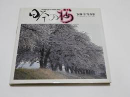 日本の桜　安藤亨　写真集　THE　WEALTH　OF　CHERRY　TREES