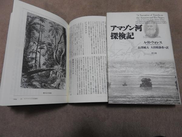【セール】 福袋 の通販 天之日矛の民俗 星空 / 著) 現代を揺るがす古代の真実(寺本躬久 文化、民俗