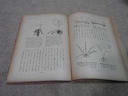 南方熱帯の植物概観