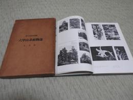 六甲山系植物図誌