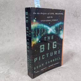 The Big Picture: On the Origins of Life Meaning and the Universe Itself