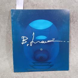 （東京都美術館特別展図録  my sky holeー迷路　井上武吉新作展　東京都美術館 編）東京都美術館