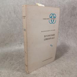 Économie libidinale