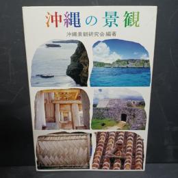 沖縄の景観 : 今後の展開にむけて