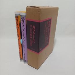 カラ・ブーラン : 黒い砂嵐