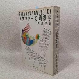 メタファーの現象学