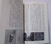 都市美 : 都市景観施策の源流とその展開
