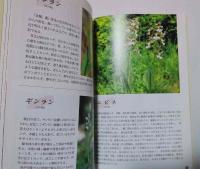 ひょうごの山野草