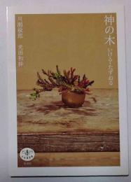 神の木 : いける・たずねる