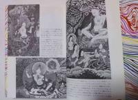 虹と水晶 : チベット密教の瞑想修行