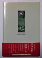 京都市・野山の花