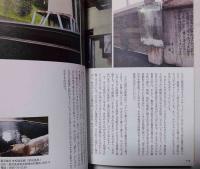 もう、ひなびた温泉しか愛せない