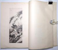 森羅萬象（日本画大家新作展覧会図録）