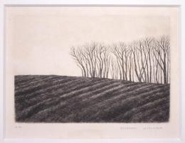 木村茂銅版画額　「丘」